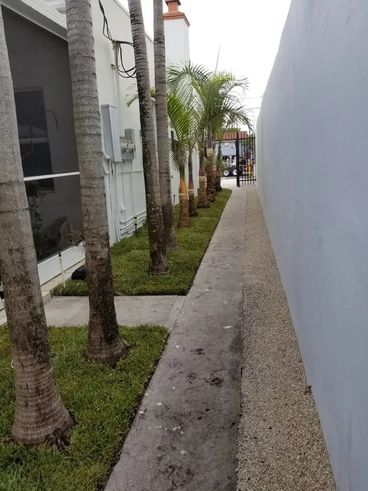 Top-rated landscape installation in Miami Gardens, FL - Imperial Gardens landscaping