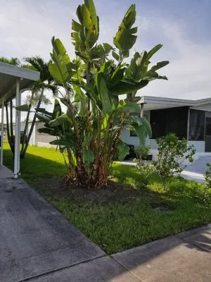 Imperial Gardens landscaping