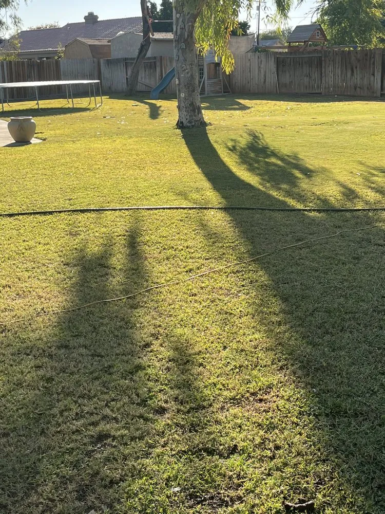 Trusted lawn care service experts serving Imperial, CA - Imperial Handyman