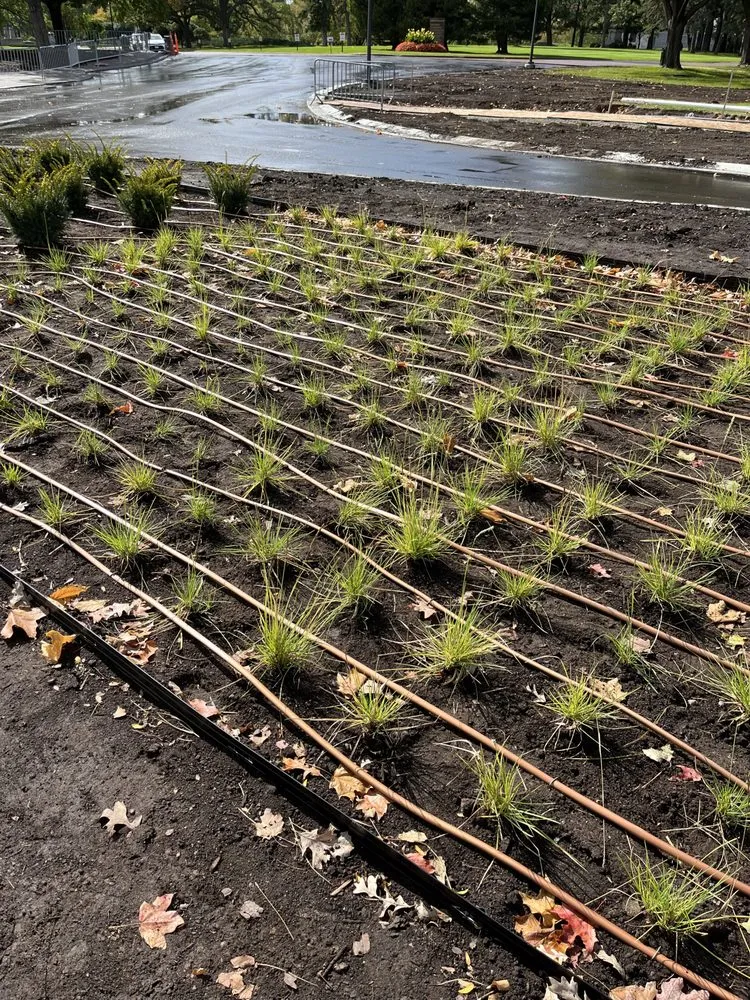 Affordable yard maintenance in Circle Pines, MN by Imperial Irrigation