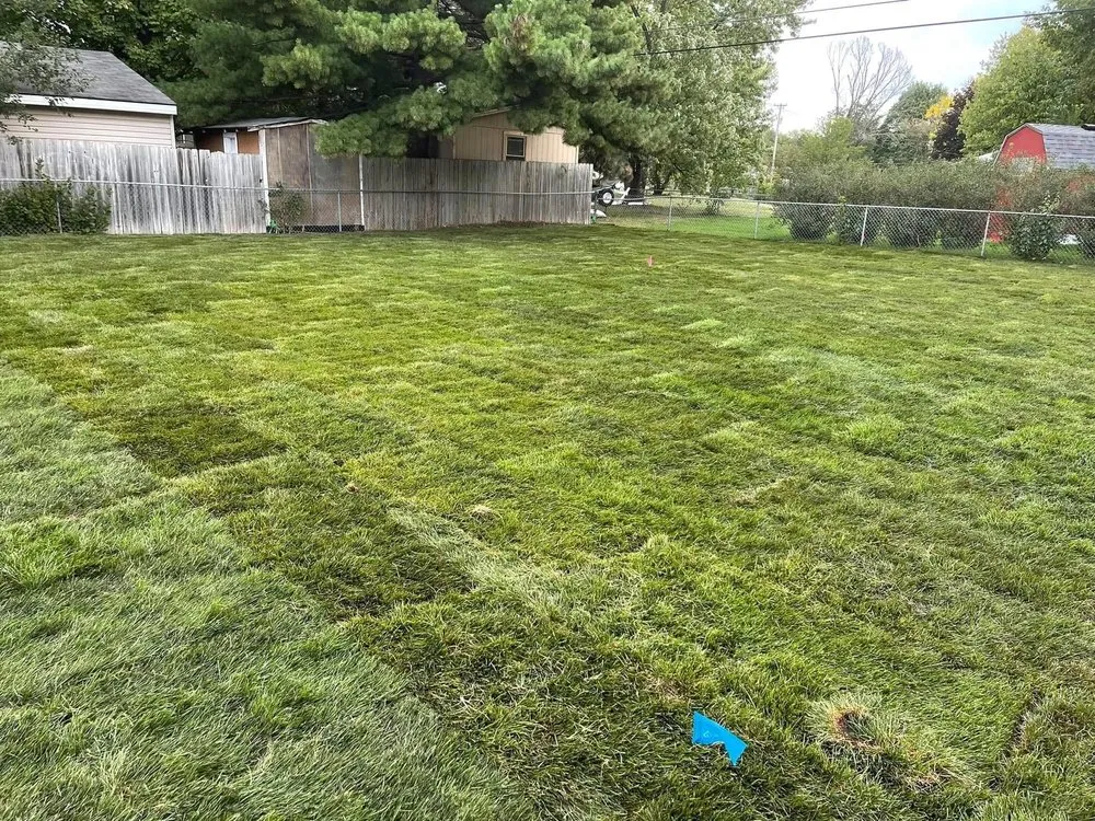 Expert lawn mowing service in Circle Pines, MN - Imperial Irrigation