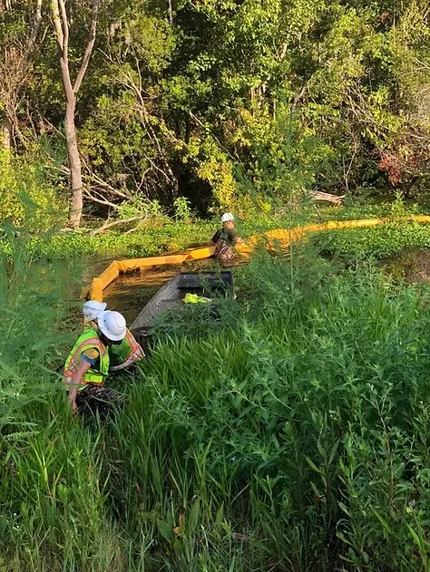 Expert landscape design in Mooresville, NC by Imperial Land Service