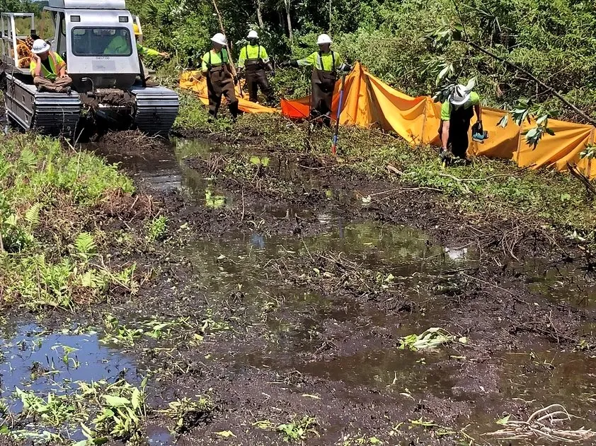 Top-rated landscaping services for outdoor upgrades in Mooresville, NC by Imperial Land Service