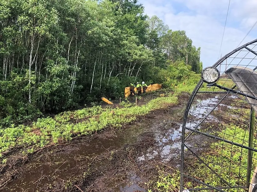 Reliable landscape installation in Mooresville, NC by Imperial Land Service