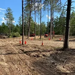 Affordable yard maintenance in Mooresville, NC - Imperial Land Service