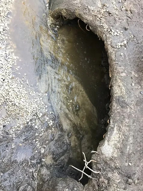 Professional lawn care service for residential properties across Mooresville, NC - Imperial Land Service