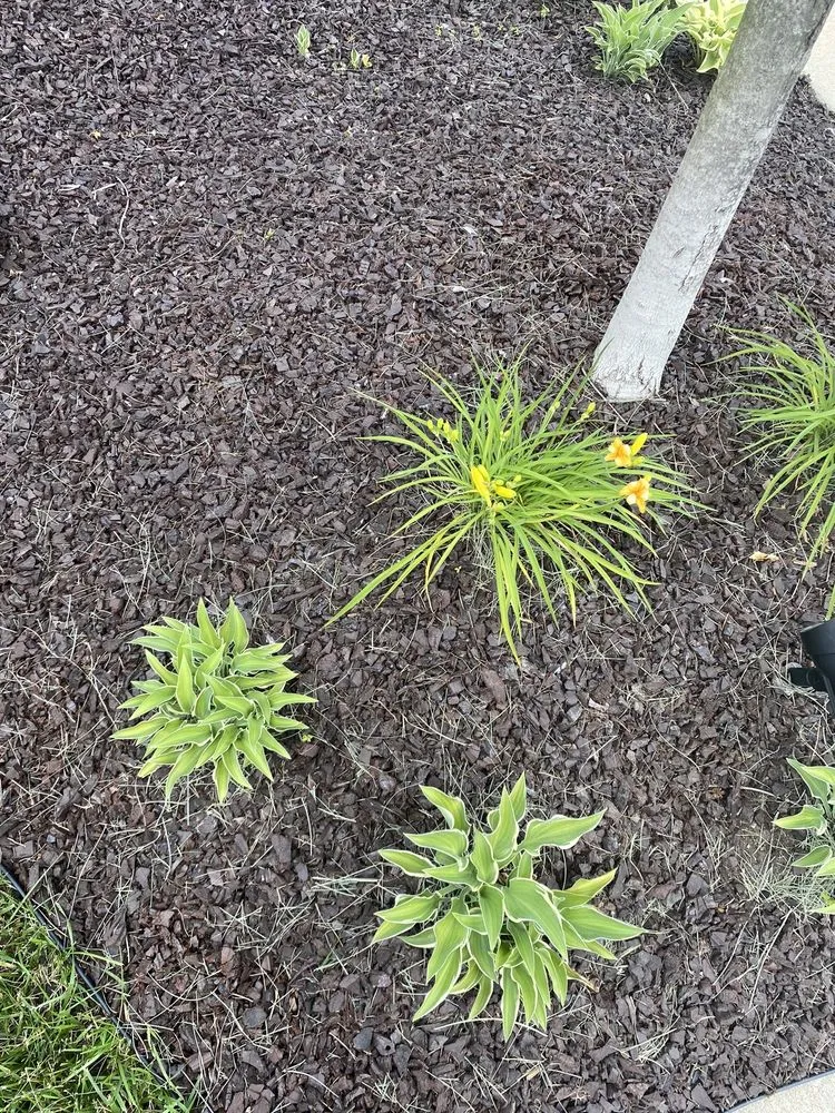 Custom garden landscaping with custom design across Fredericksburg, VA - Imperial Landscaping