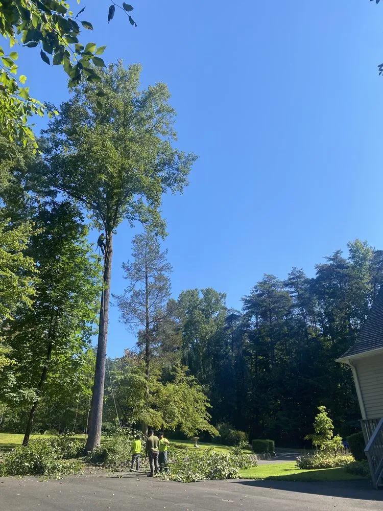 Professional outdoor landscaping in Fredericksburg, VA - Imperial Landscaping