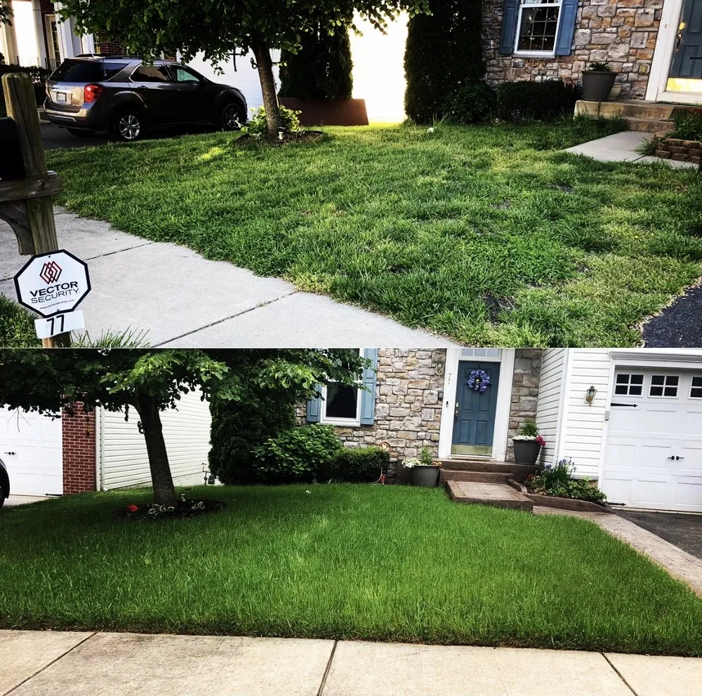 Professional outdoor landscaping for homes in Fredericksburg, VA by Imperial Landscaping