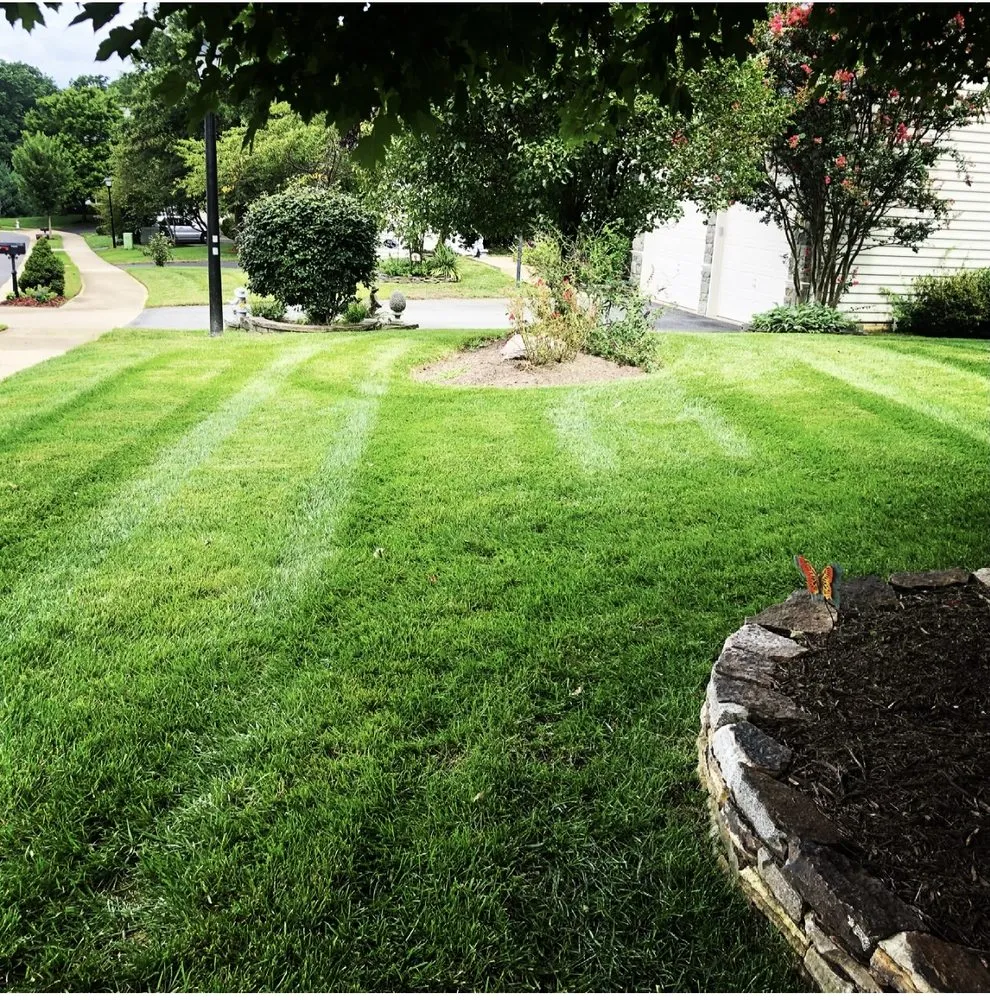 Expert yard cleanup service experts serving Fredericksburg, VA - Imperial Landscaping