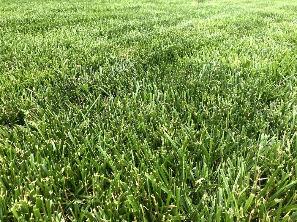 Custom garden landscaping for year-round maintenance across Imperial, MO - Imperial Landscaping