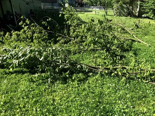 Imperial Landscaping Logo