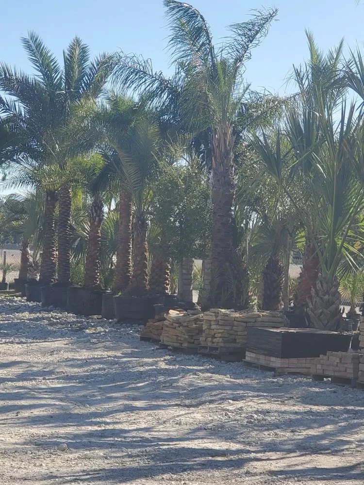 Custom landscape installation for residential properties in La Marque, TX by Imperial Landscaping