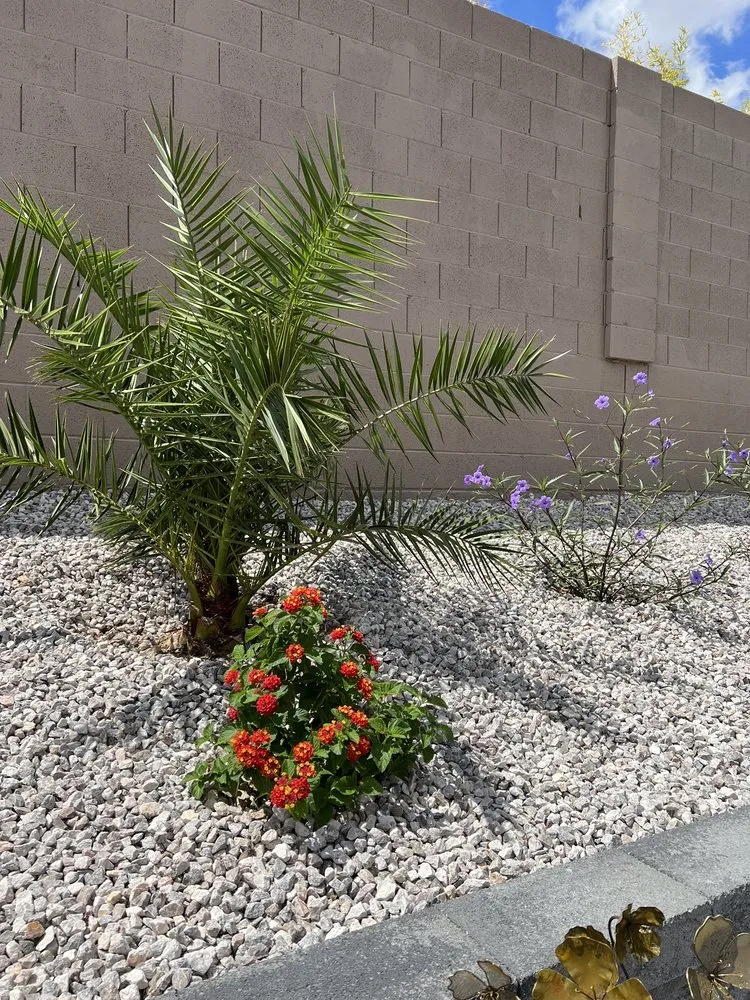 Custom residential landscaping for beautiful yards across Las Vegas, NV - Imperial Landscaping