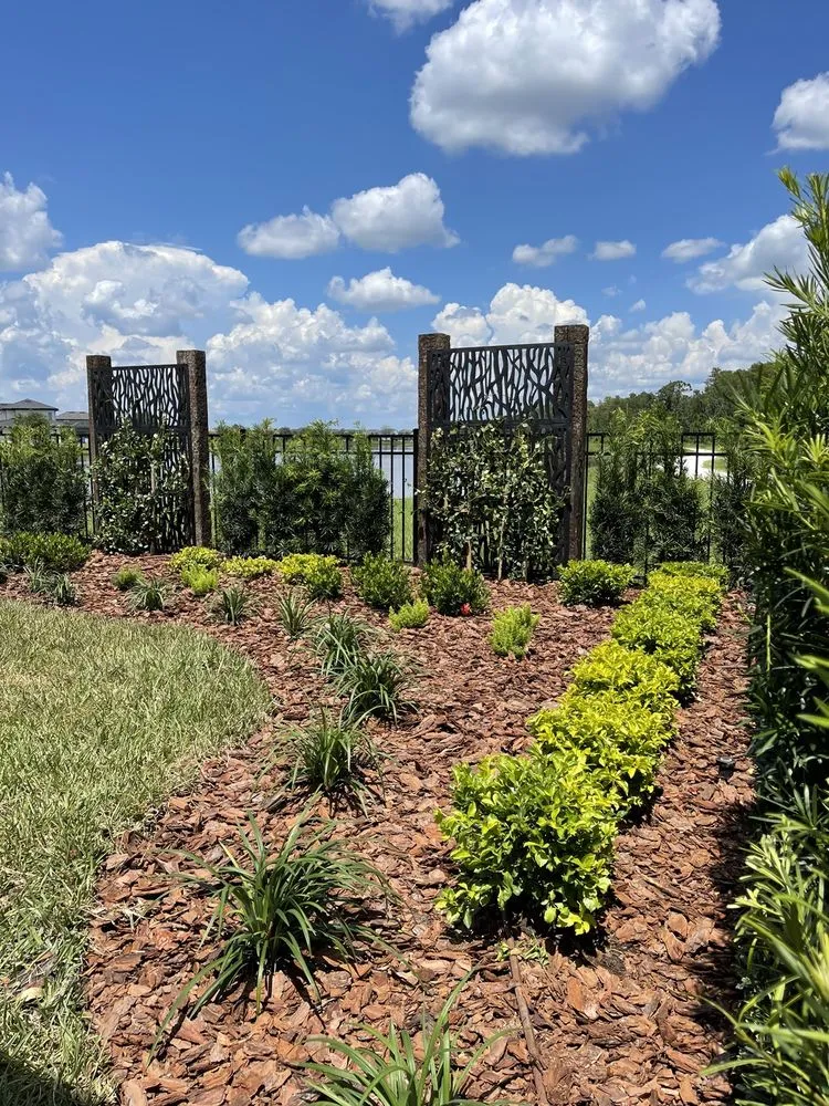 Affordable yard maintenance in Ocoee, FL - Imperial Landscaping