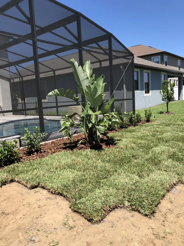 Expert landscape installation for year-round maintenance in Ocoee, FL by Imperial Landscaping