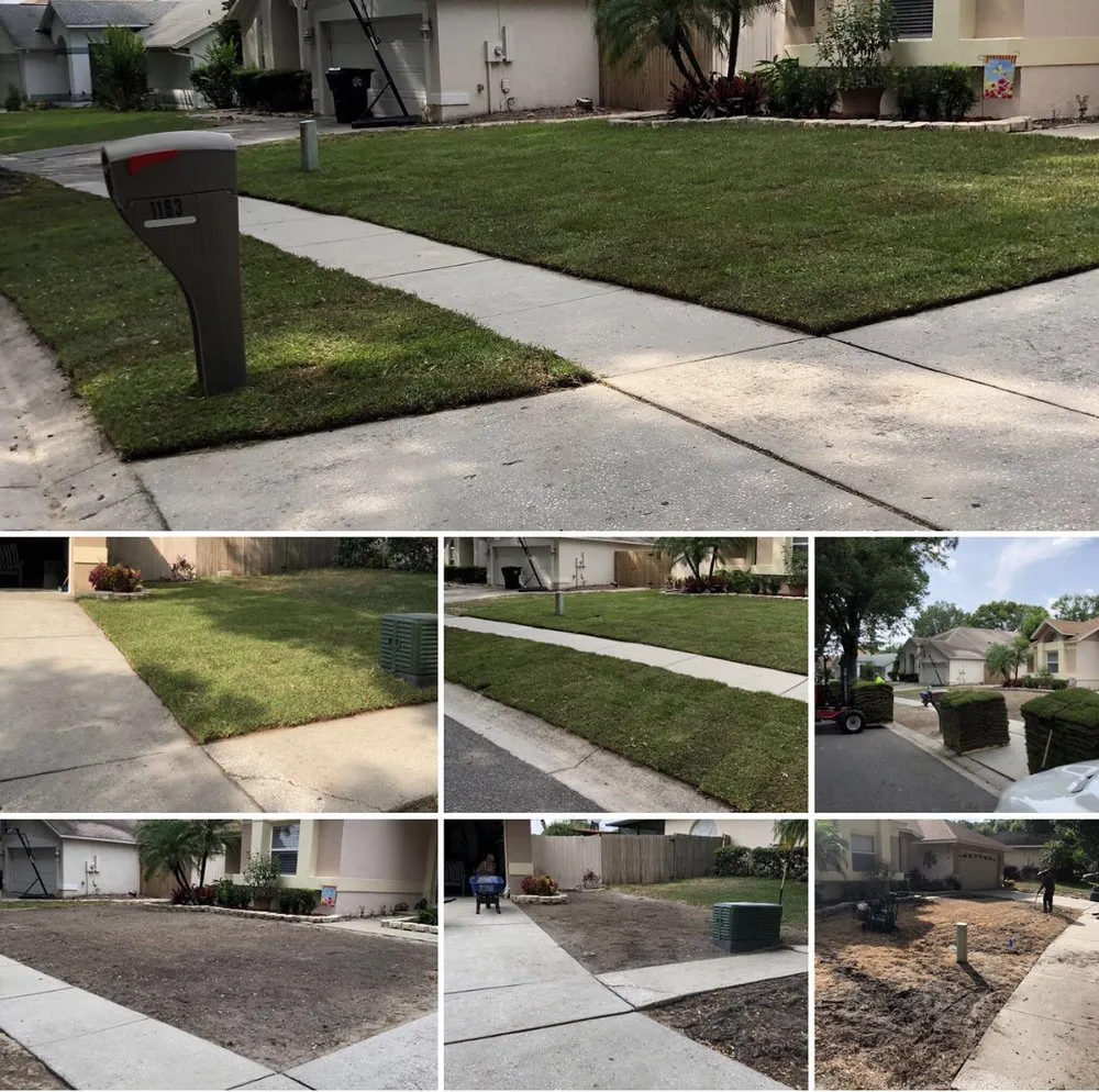 Top-rated landscape design for residential properties across Ocoee, FL - Imperial Landscaping