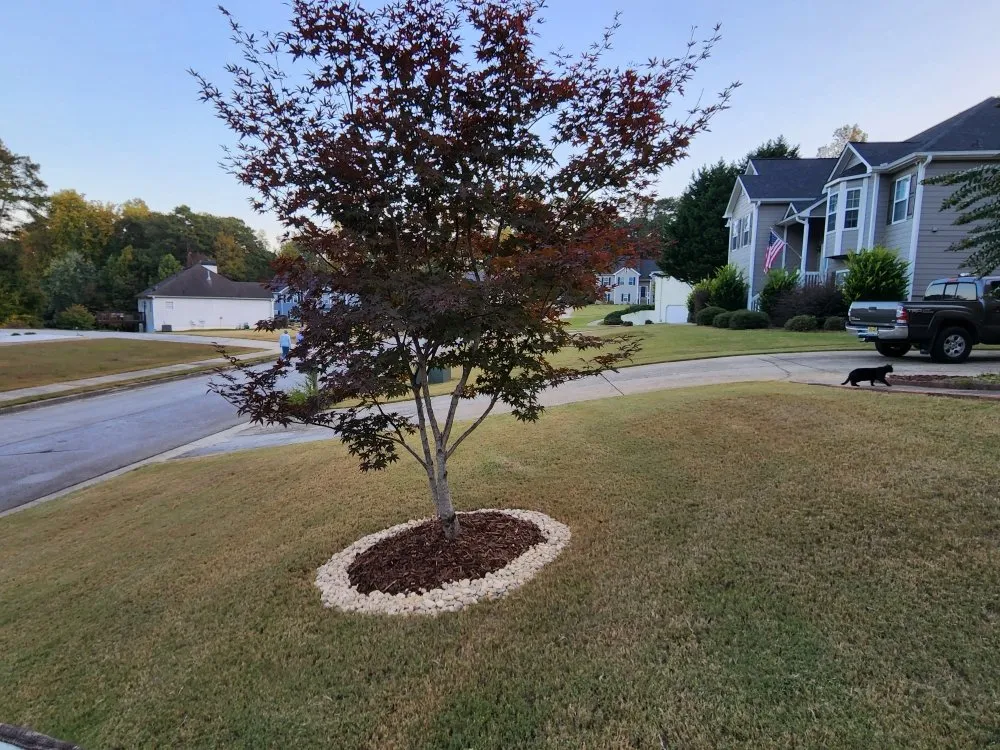 Local residential landscaping in Dallas, GA - Imperial Lawn Care