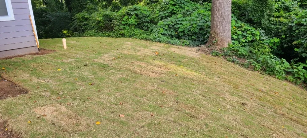 Local yard maintenance for year-round maintenance in Dallas, GA by Imperial Lawn Care