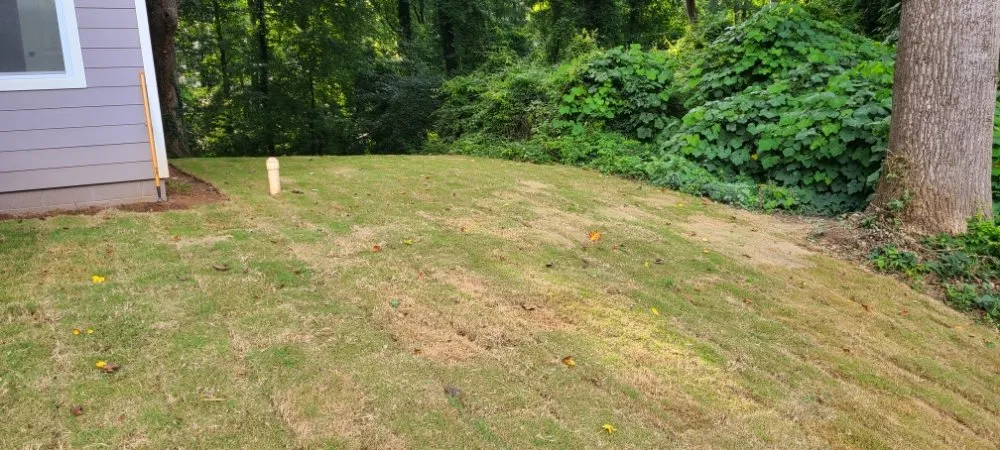 Local landscape design in Dallas, GA - Imperial Lawn Care