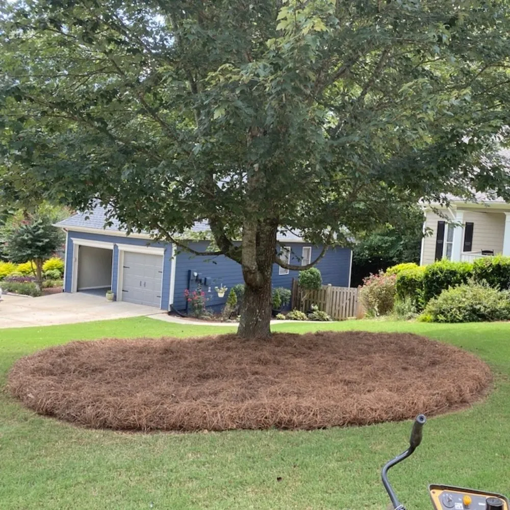 Top-rated outdoor landscaping for year-round maintenance in Dallas, GA by Imperial Lawn Care