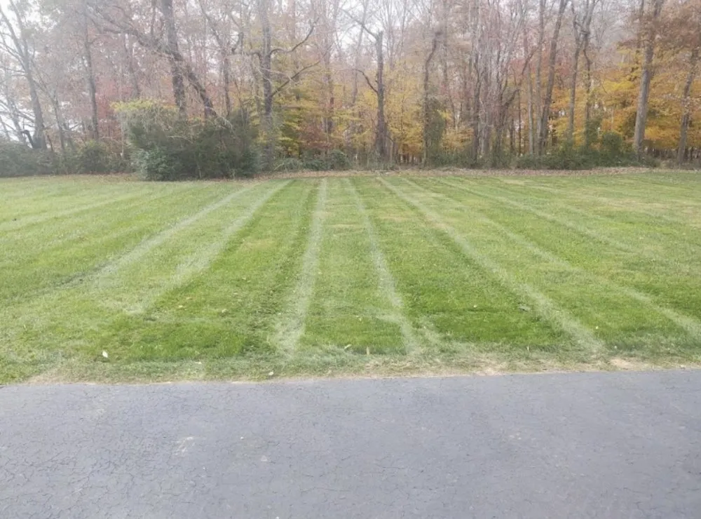 Affordable lawn mowing service for beautiful yards in Winston-Salem, NC by Imperial Lawncare