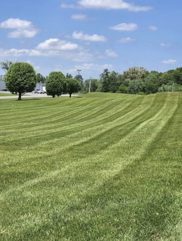Expert landscape installation in Winston-Salem, NC by Imperial Lawncare