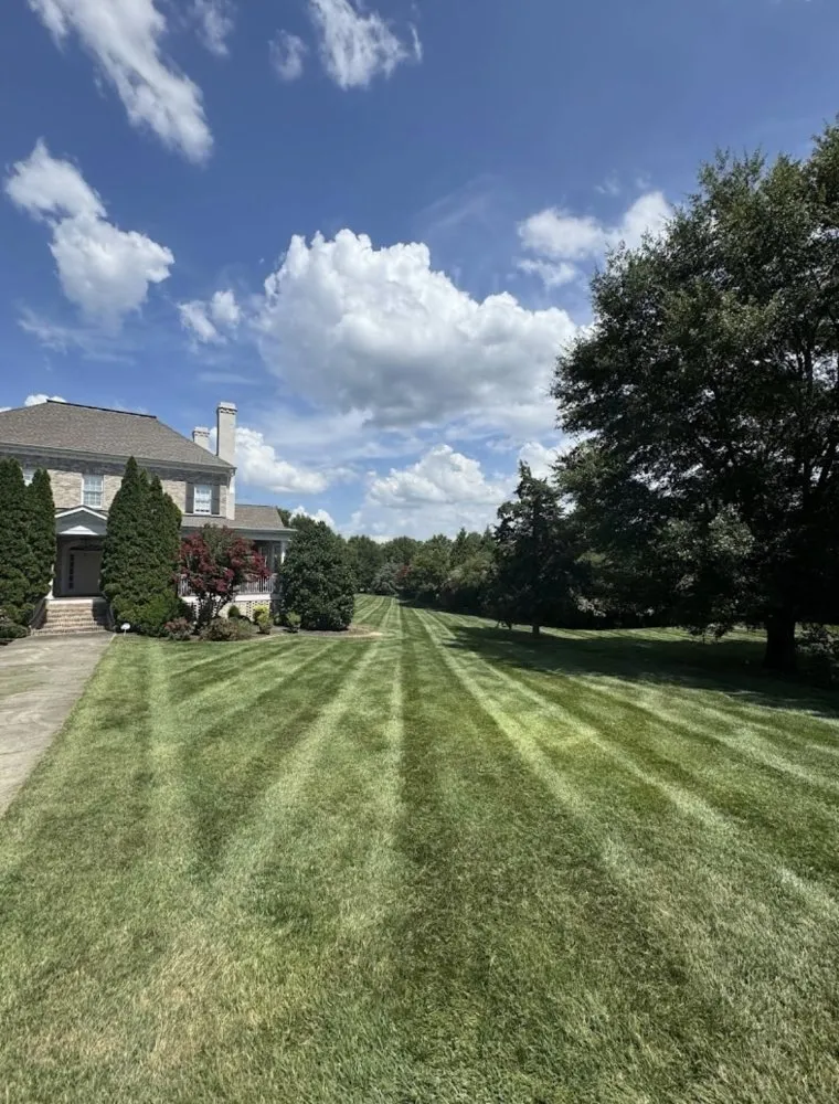 Reliable yard cleanup service in Winston-Salem, NC - Imperial Lawncare