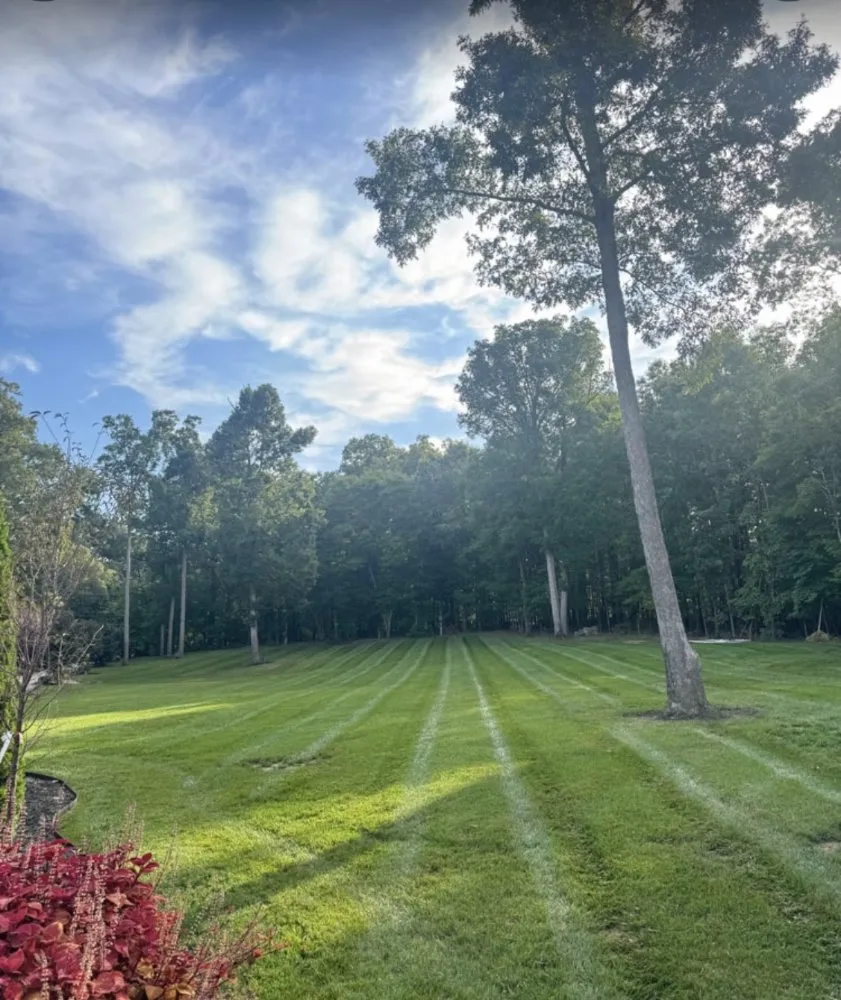 Reliable landscape installation for homes in Winston-Salem, NC by Imperial Lawncare