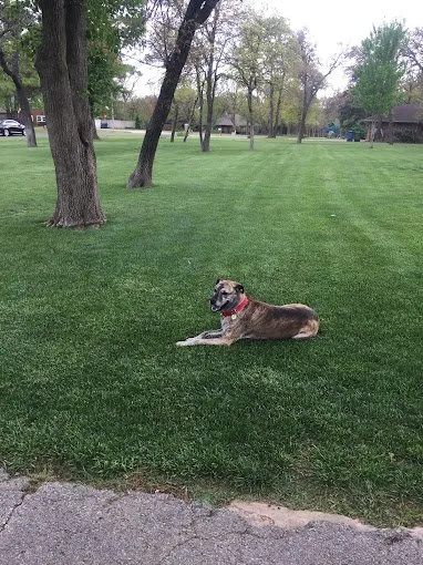 Expert outdoor landscaping for beautiful yards in Edmond, OK by Imperial Lawns