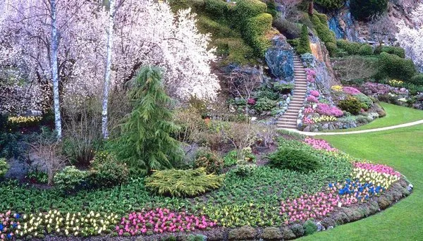 Imperial Mulch Landscape