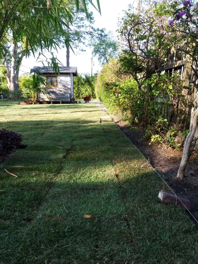 Affordable yard cleanup service in Deltona, FL by Imperial Property Solutions