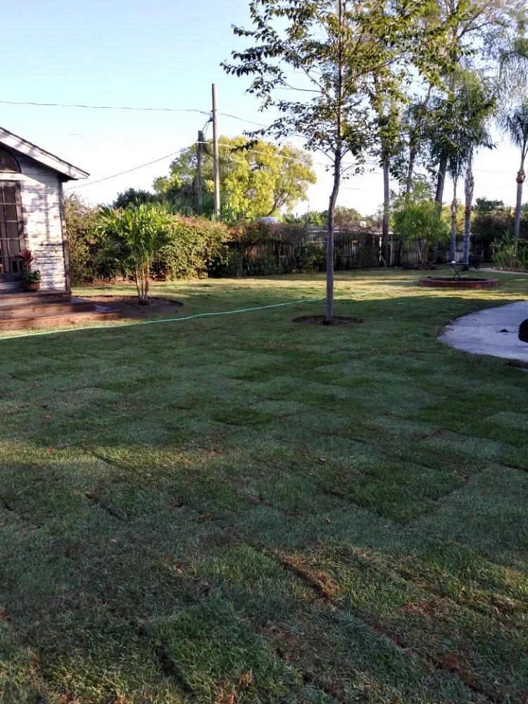 Top-rated landscaping services in Deltona, FL by Imperial Property Solutions