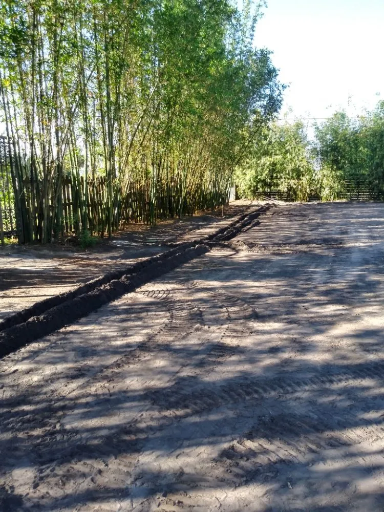 Professional landscaping services in Deltona, FL by Imperial Property Solutions