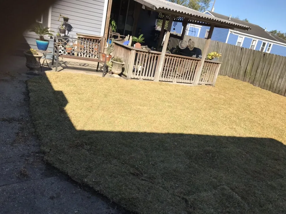 Expert yard maintenance in New Orleans, LA by Imperial Qualities