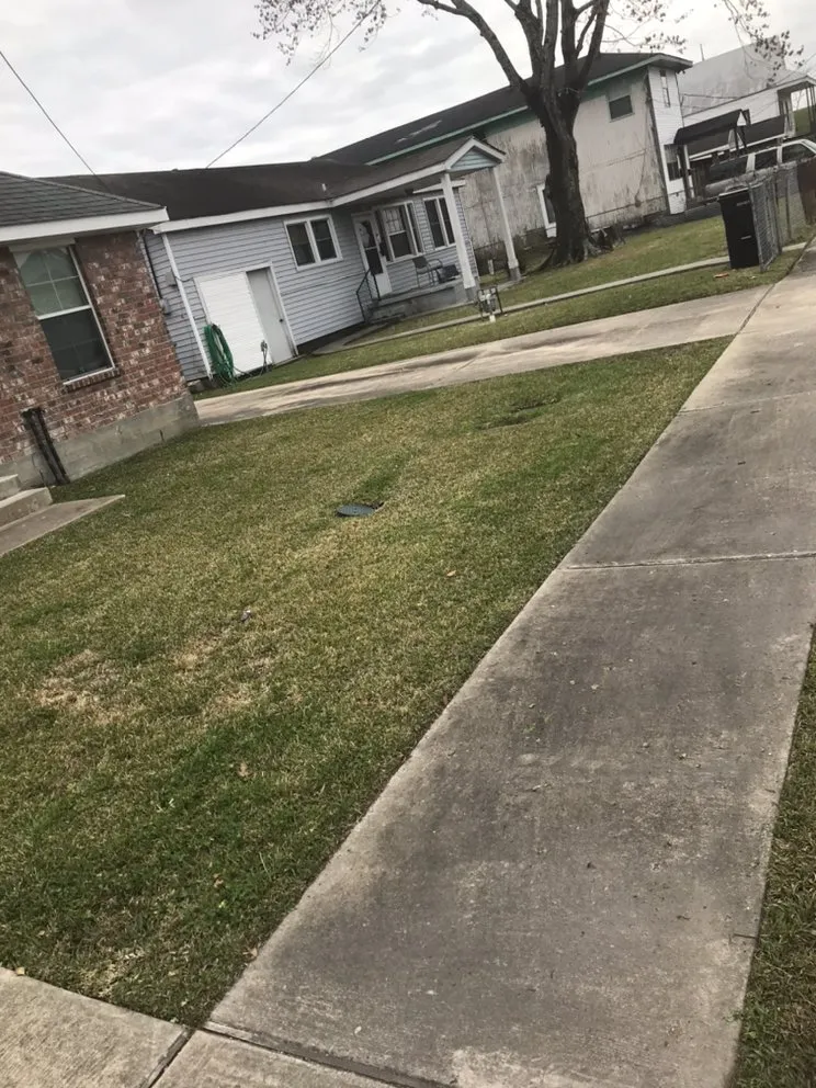 Affordable yard maintenance near you across New Orleans, LA - Imperial Qualities