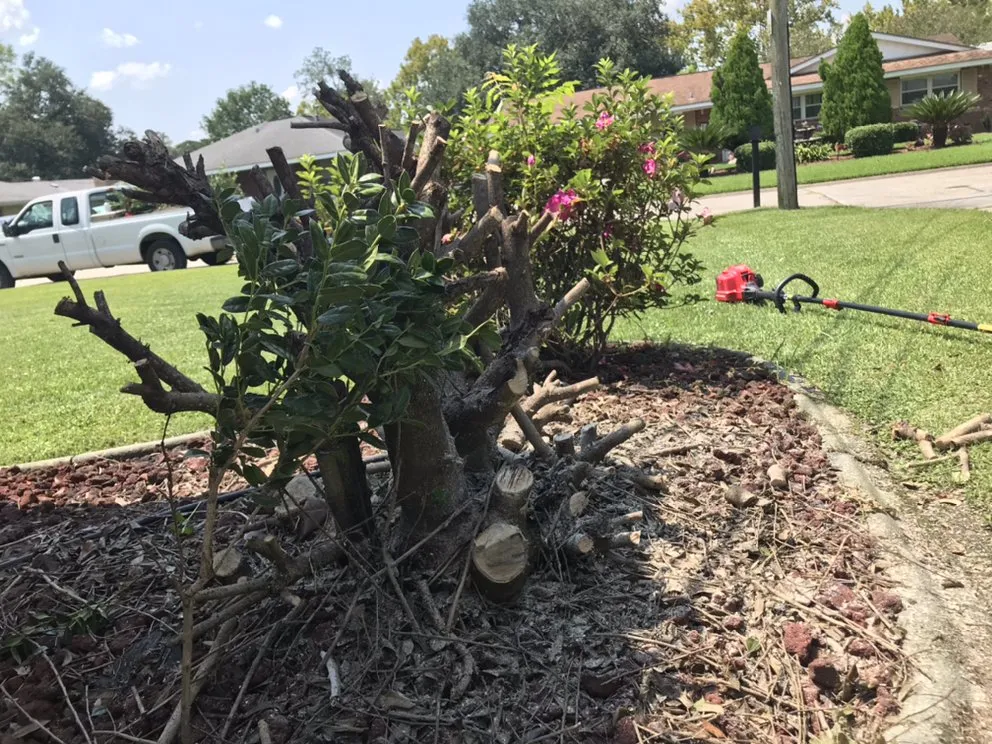 Expert landscape installation in New Orleans, LA - Imperial Qualities