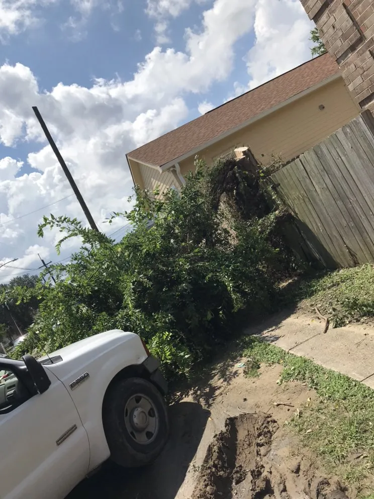 Local yard cleanup service for year-round maintenance in New Orleans, LA by Imperial Qualities