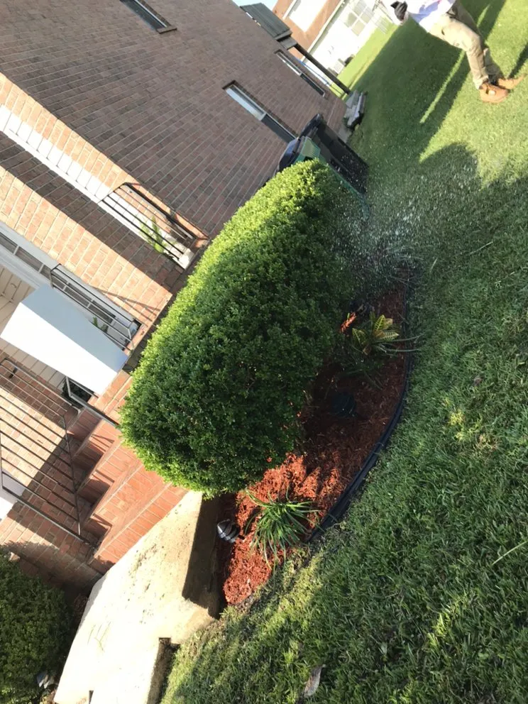 Professional yard cleanup service for year-round maintenance in New Orleans, LA by Imperial Qualities