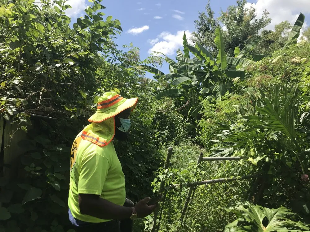 Affordable residential landscaping with custom design across New Orleans, LA - Imperial Qualities