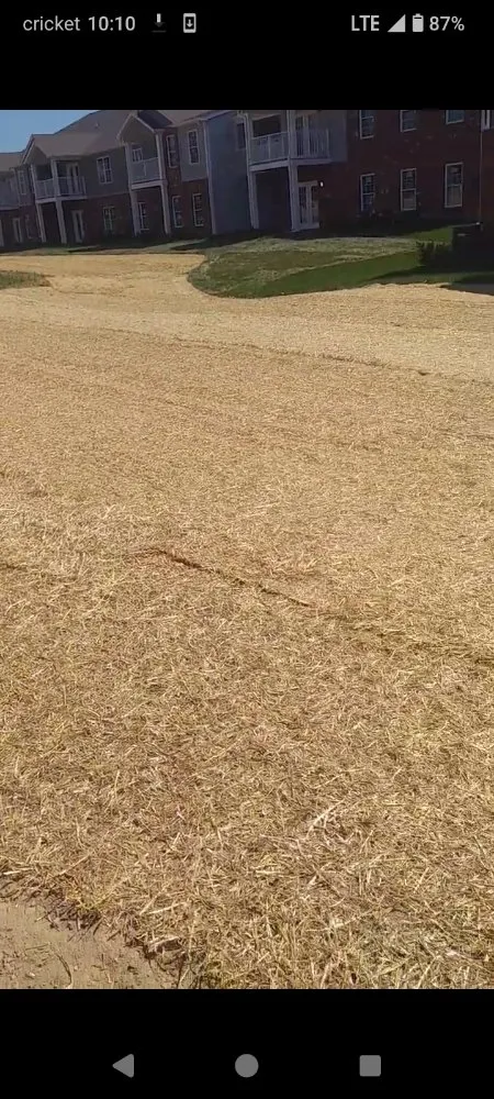 Custom yard maintenance in Brooks, KY by Imperial Seeding and Sodding