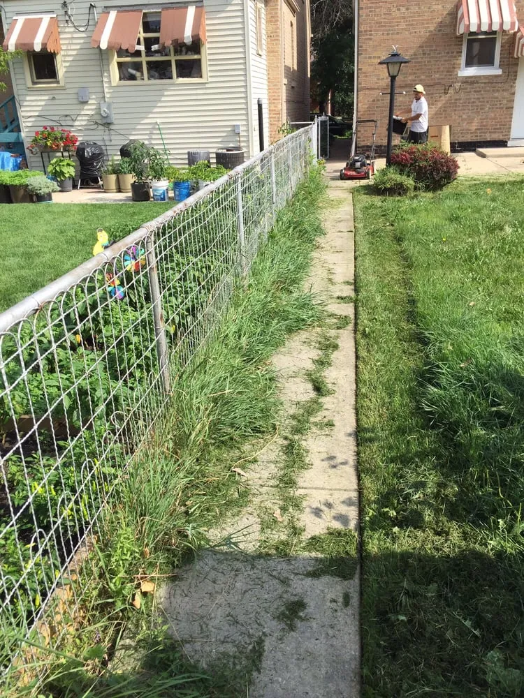Reliable yard cleanup service in Blue Island, IL - Imperial Services HVAC & Lawn Service
