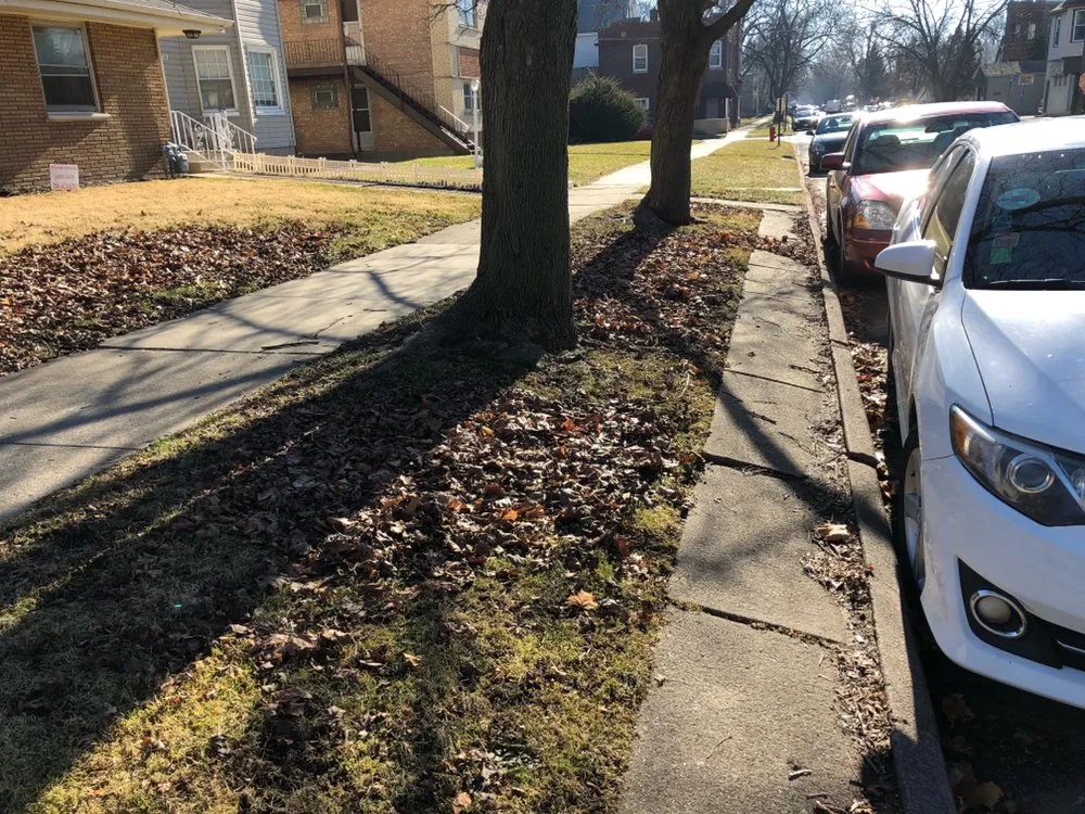 Expert landscaping services experts serving Blue Island, IL - Imperial Services HVAC & Lawn Service