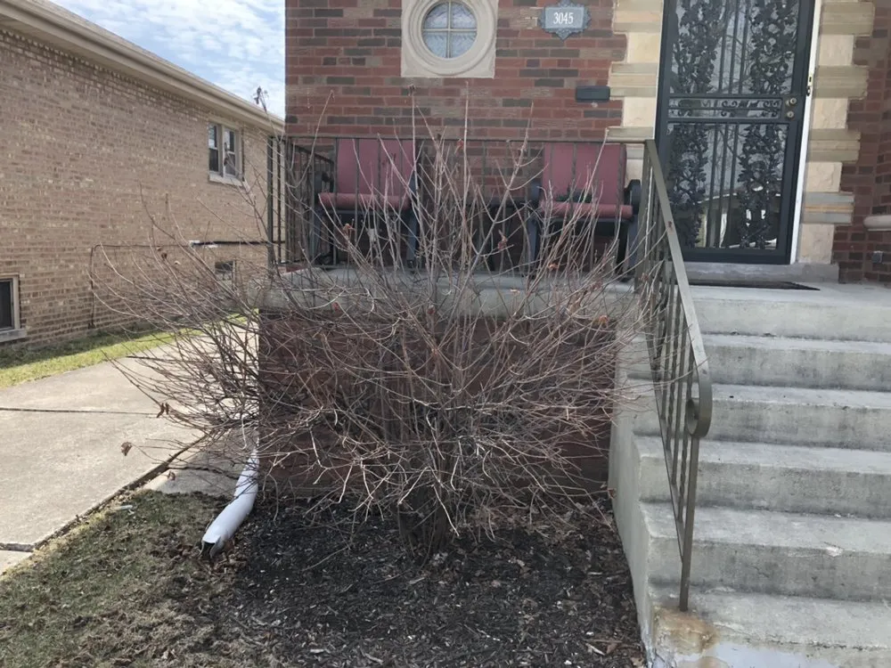 Trusted landscape design experts serving Blue Island, IL - Imperial Services HVAC & Lawn Service