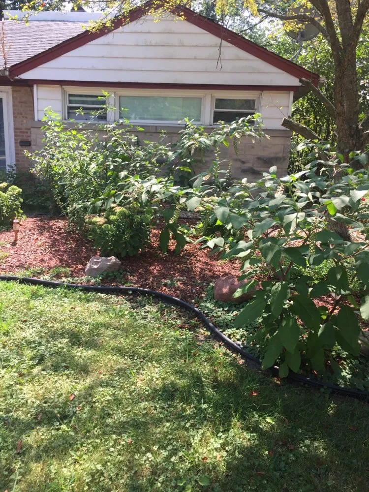 Professional garden landscaping for residential properties in Blue Island, IL by Imperial Services HVAC & Lawn Service