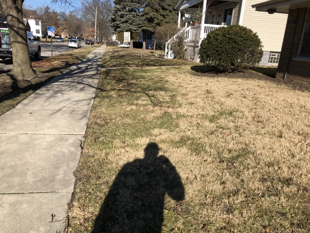 Custom yard cleanup service for homes across Blue Island, IL - Imperial Services HVAC & Lawn Service