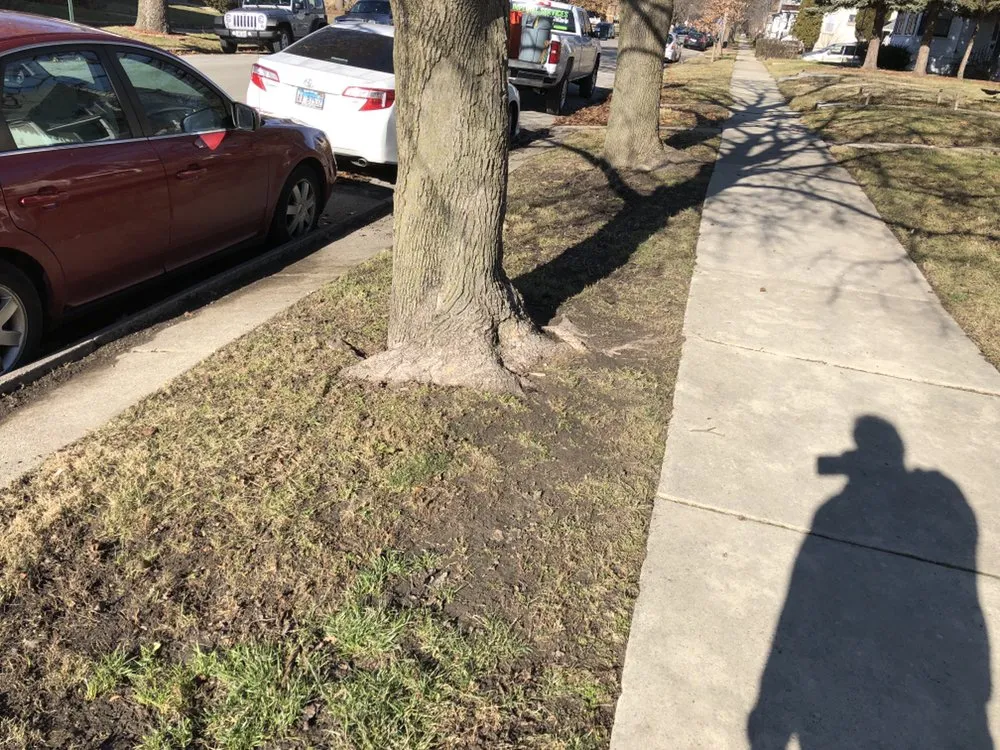 Local landscape installation near you across Blue Island, IL - Imperial Services HVAC & Lawn Service