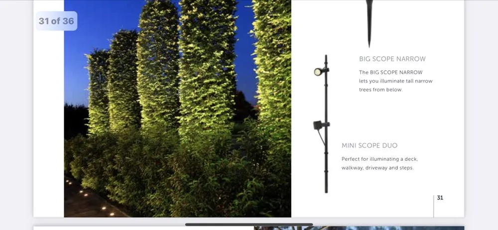 Expert yard cleanup service for residential properties across Blue Island, IL - Imperial Services HVAC & Lawn Service