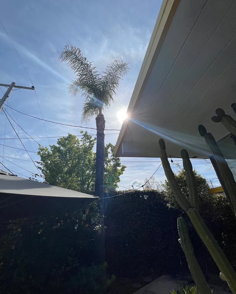 Top-rated landscape installation experts serving Campbell, CA - Imperial Tree