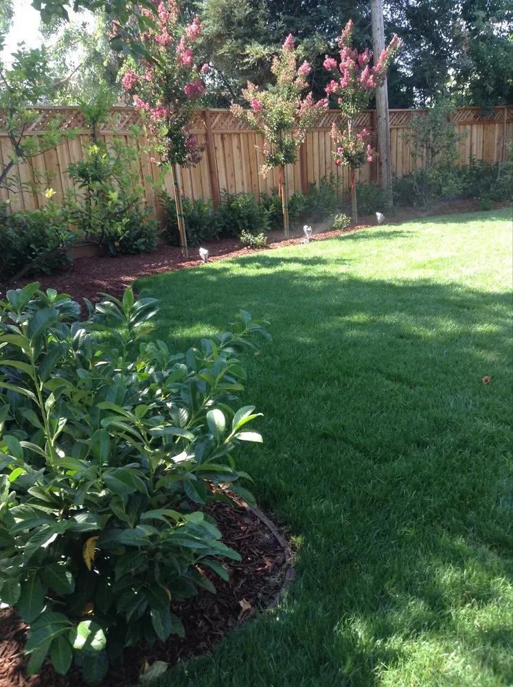 Local landscaping services for year-round maintenance across Campbell, CA - Imperial Tree